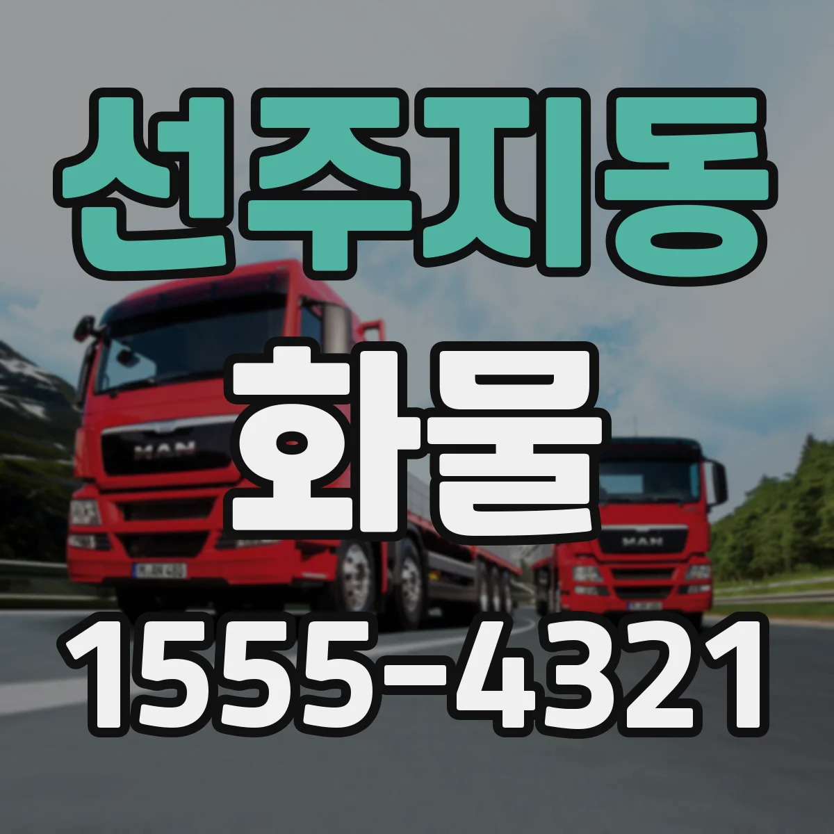 선주지동 화물