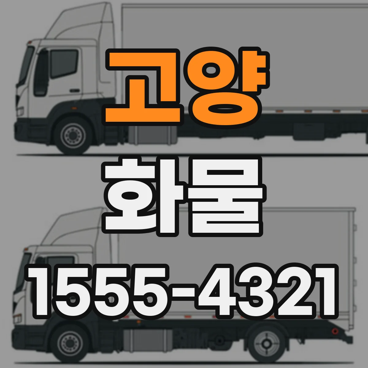 고양 화물