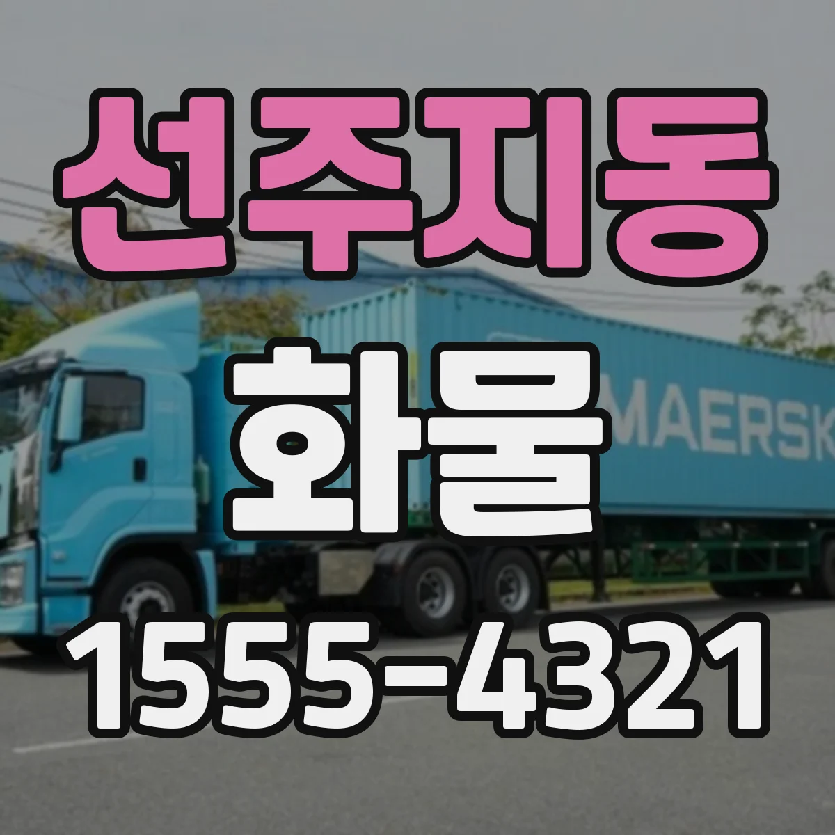 선주지동 화물