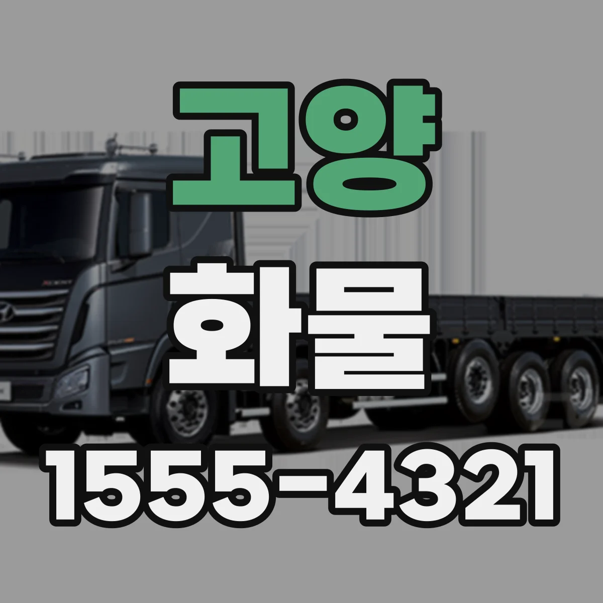 고양 화물