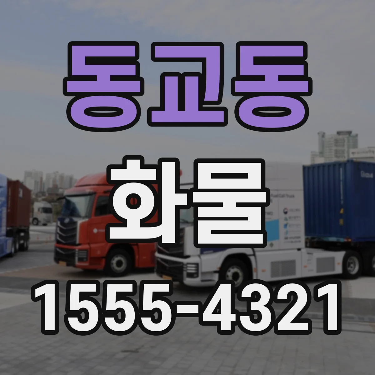 동교동 화물