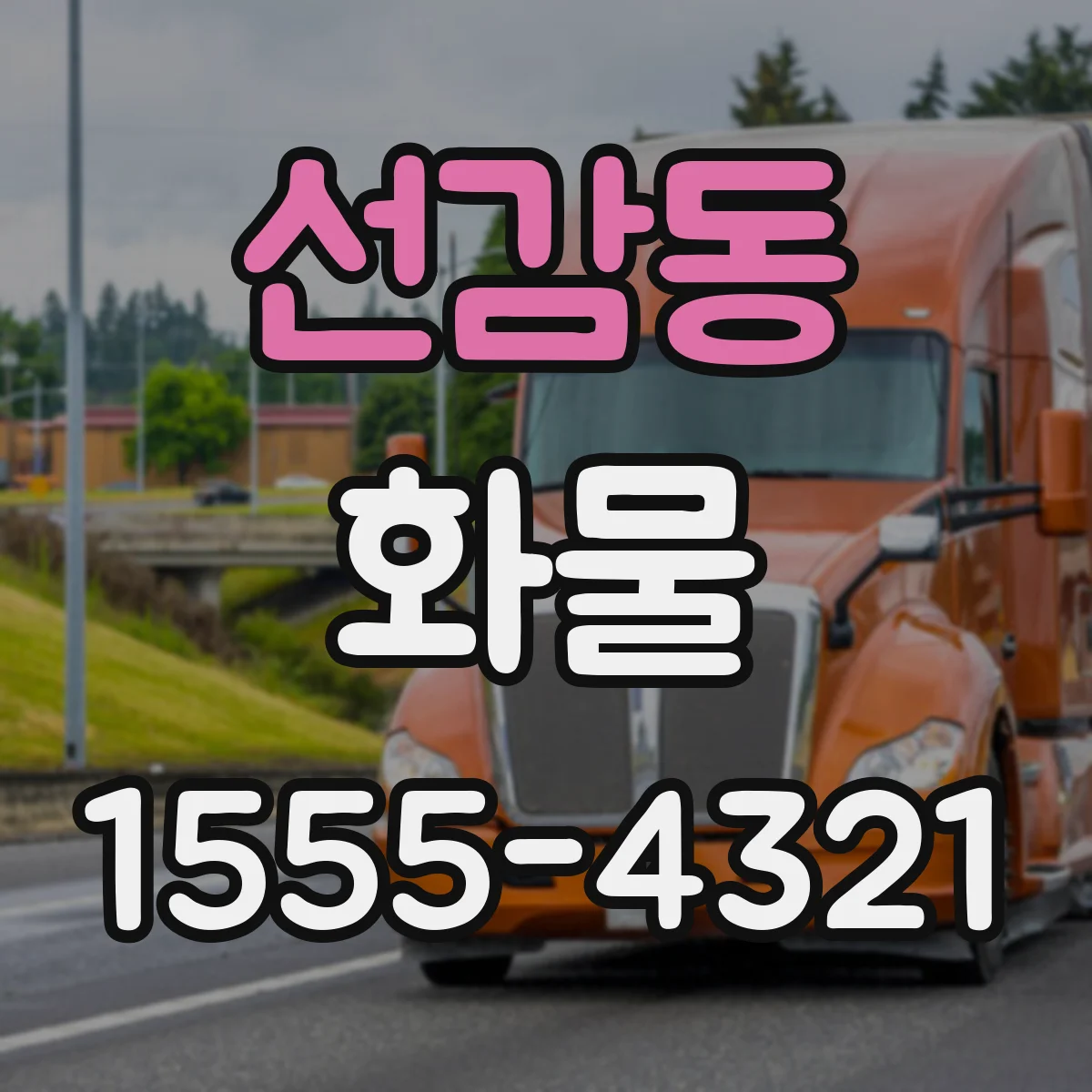 선감동 화물