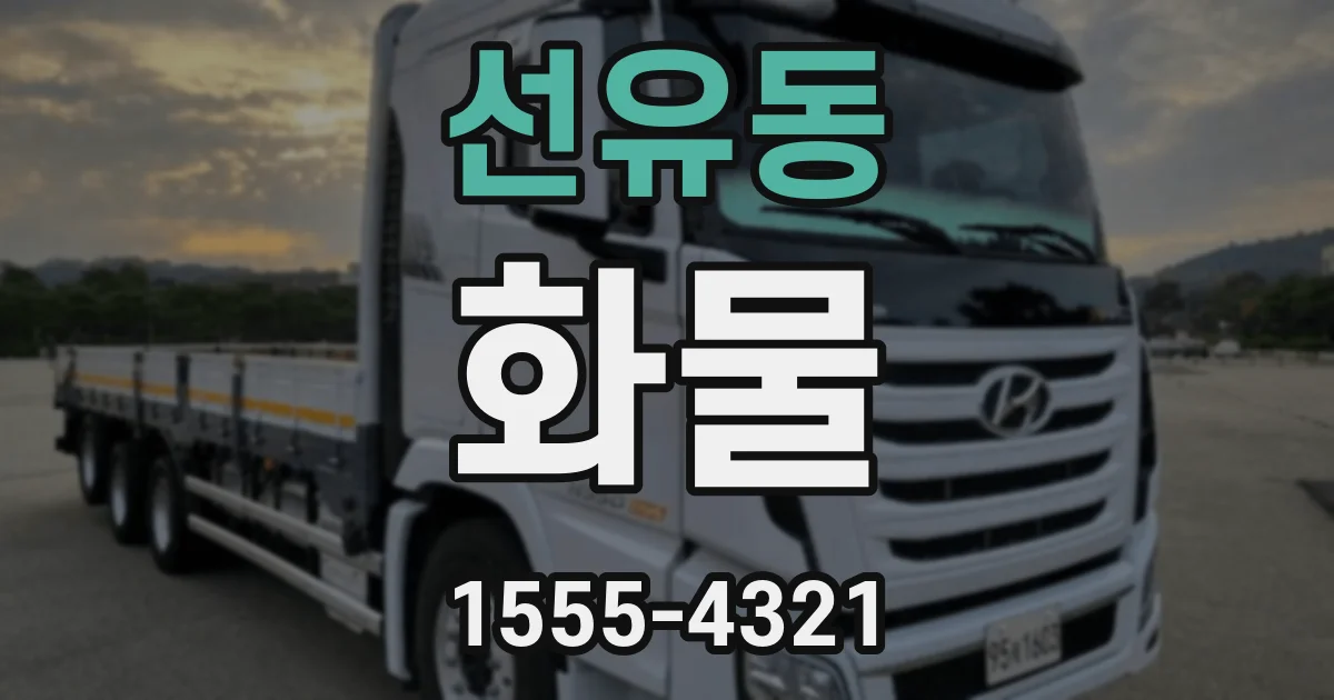 선유동 화물
