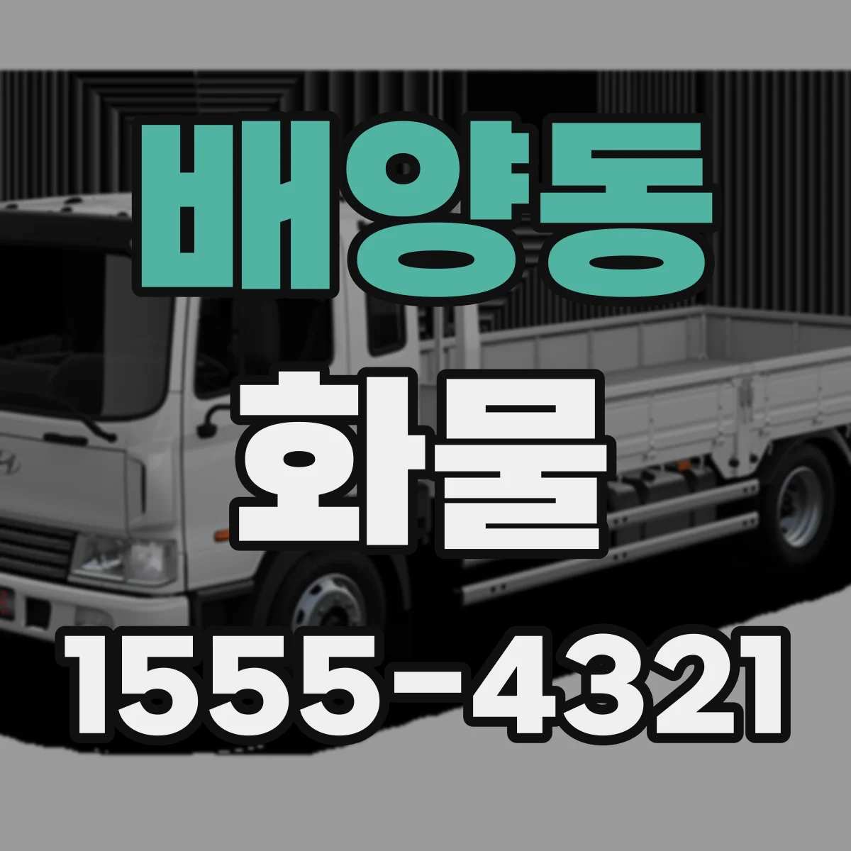 배양동 화물