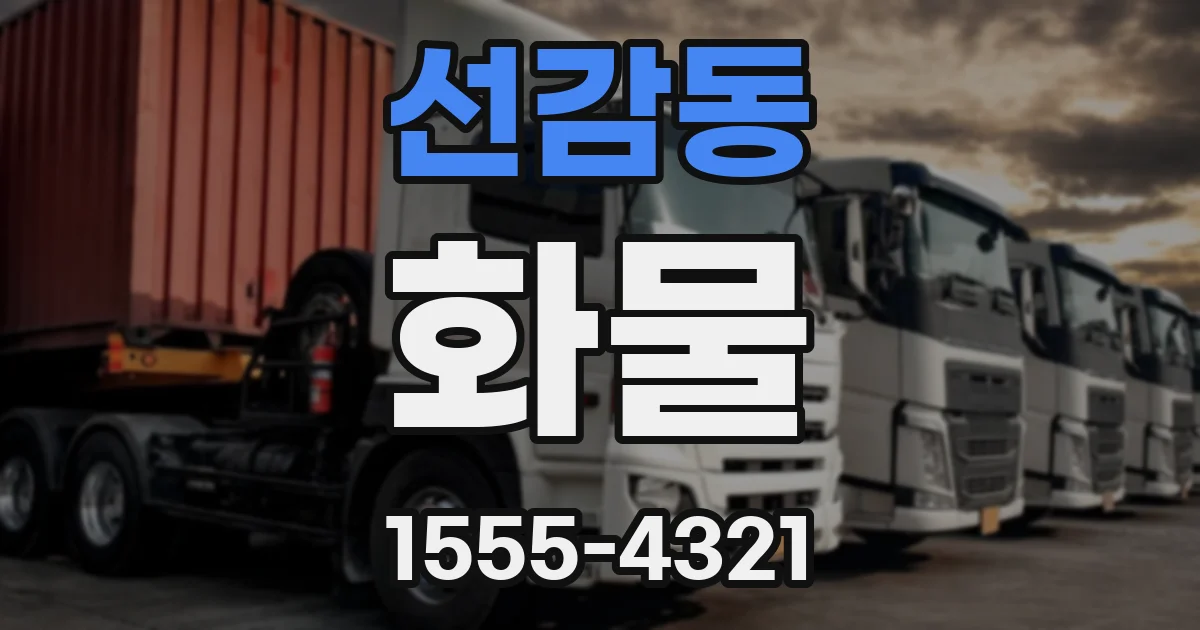 선감동 화물