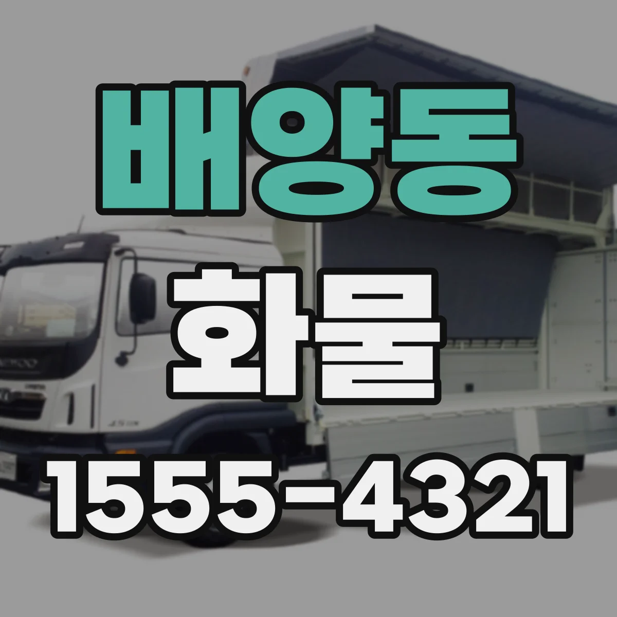 배양동 화물