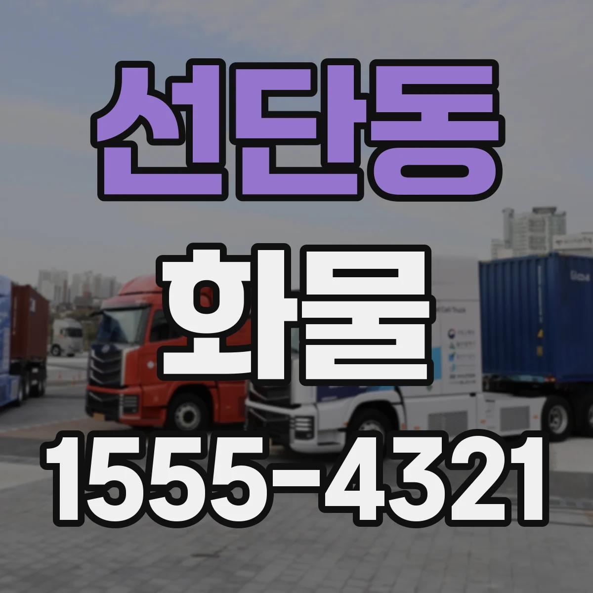 선단동 화물