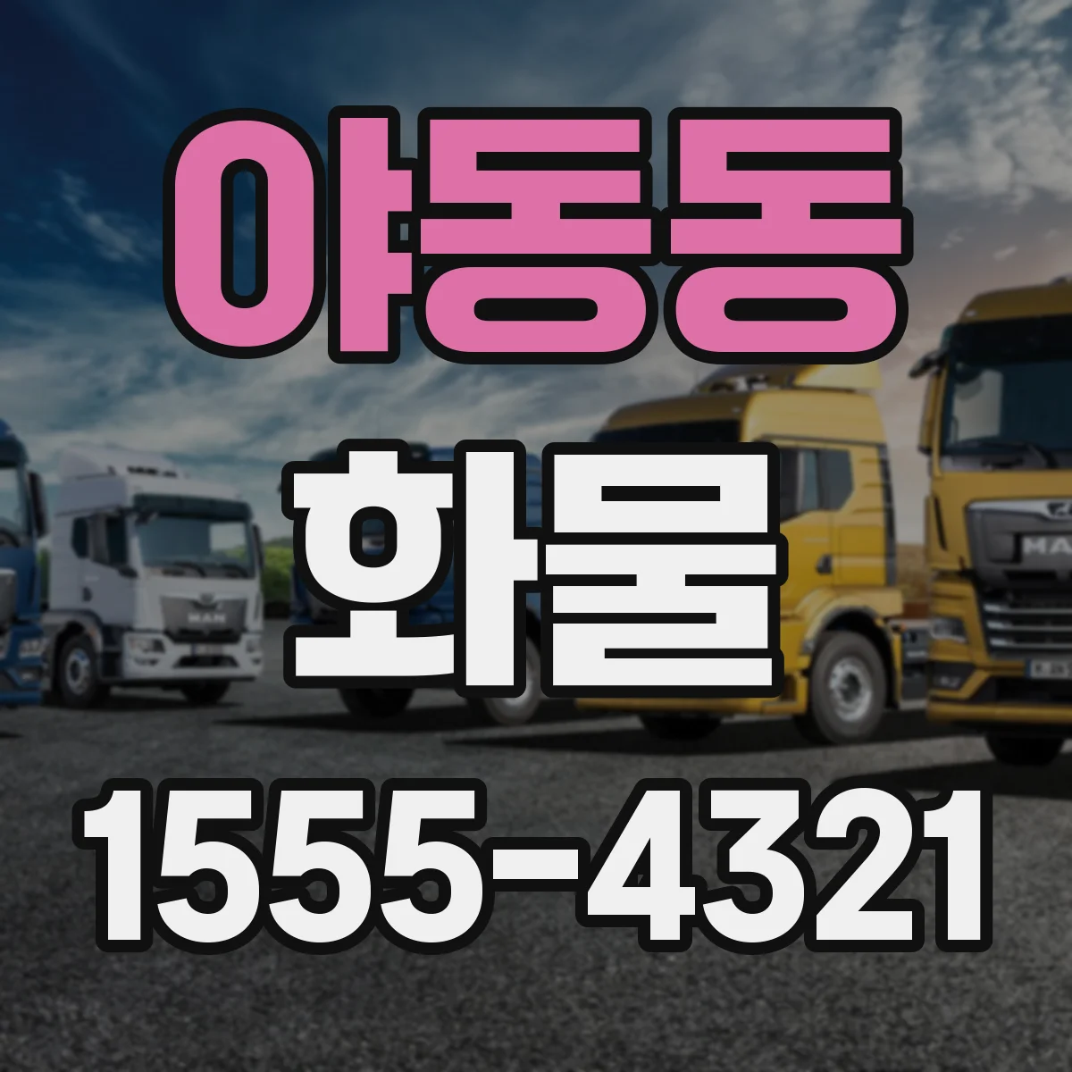 야동동 화물