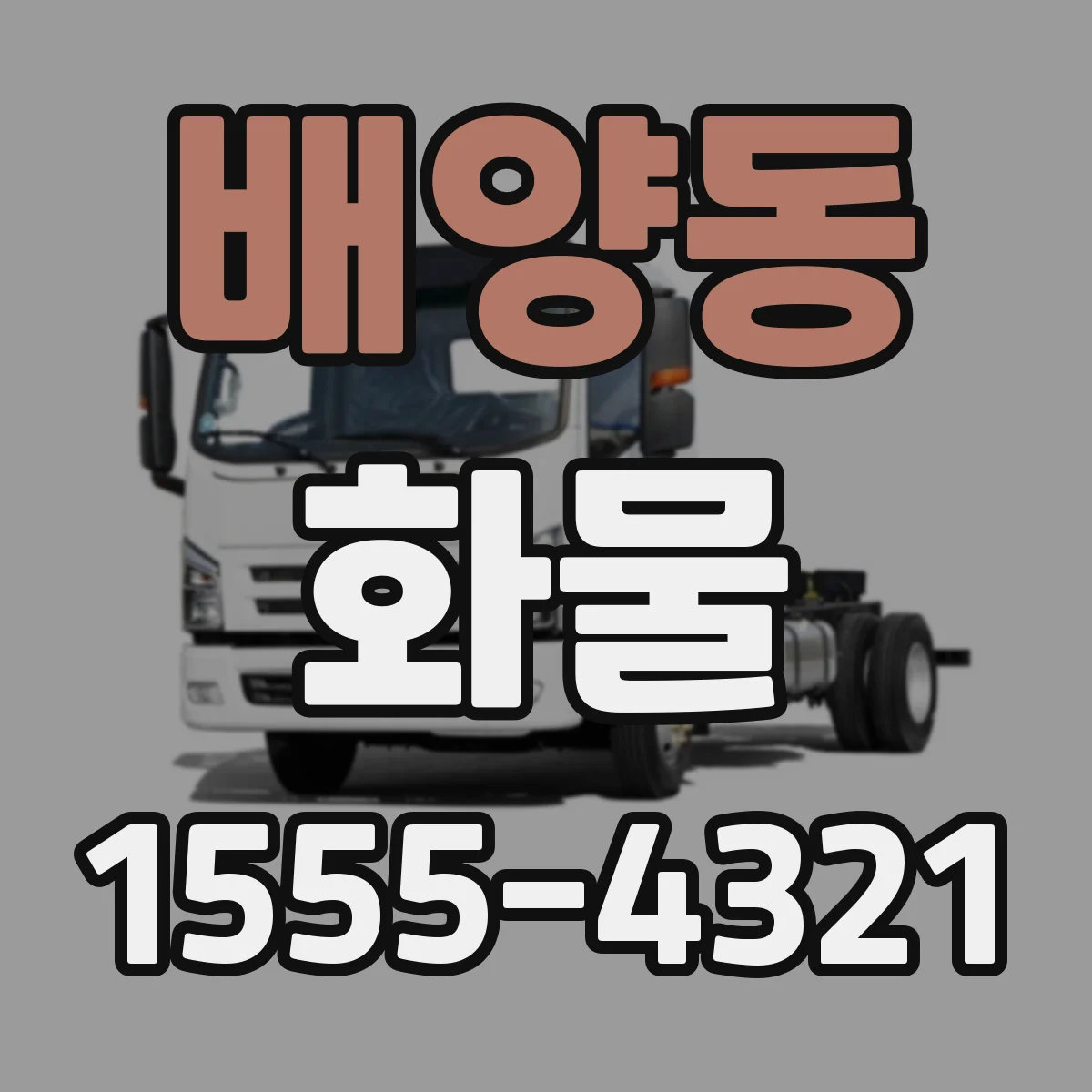배양동 화물