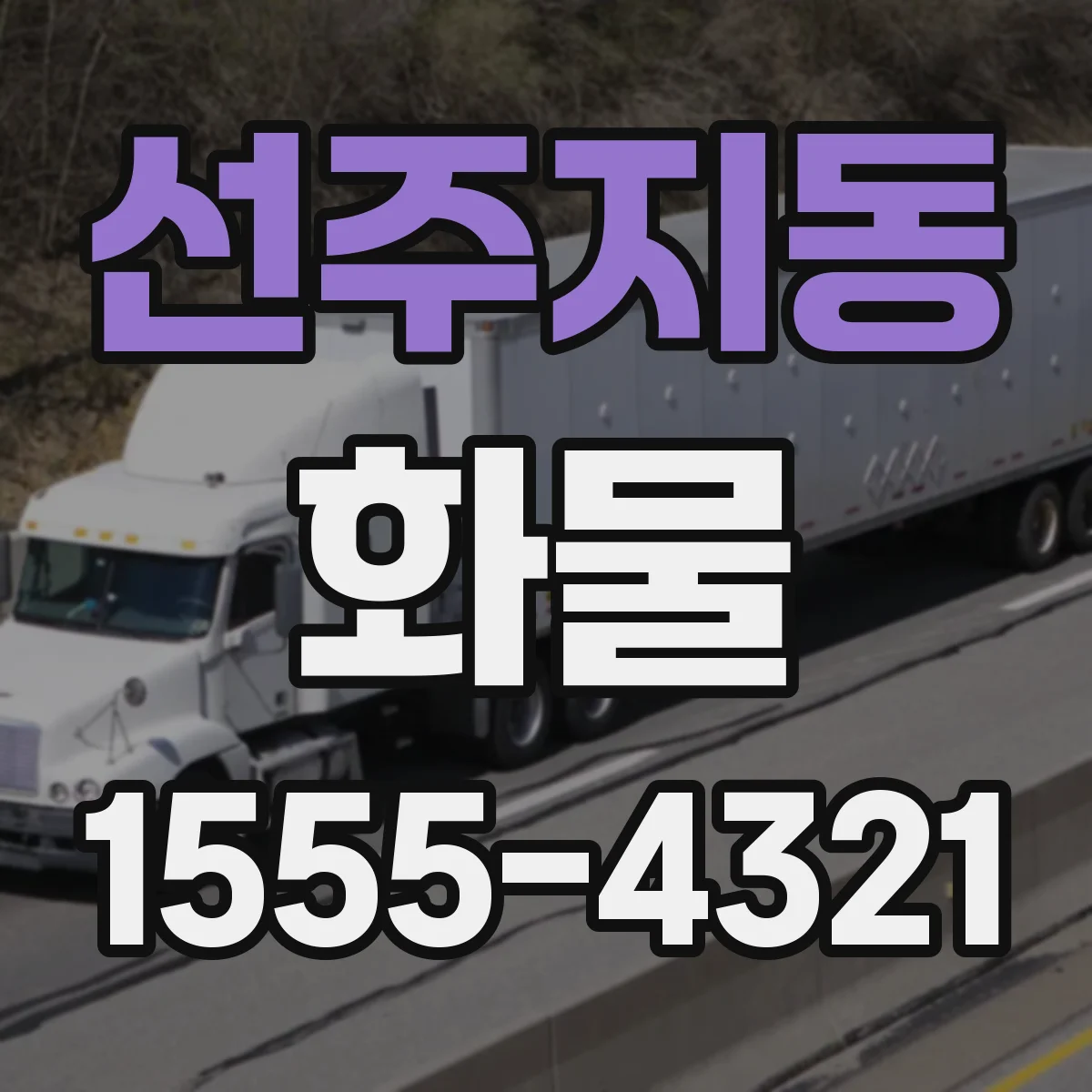 선주지동 화물
