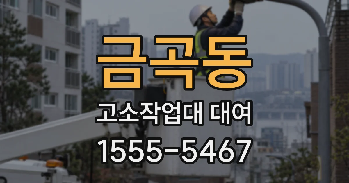 금곡동 고소작업대 대여