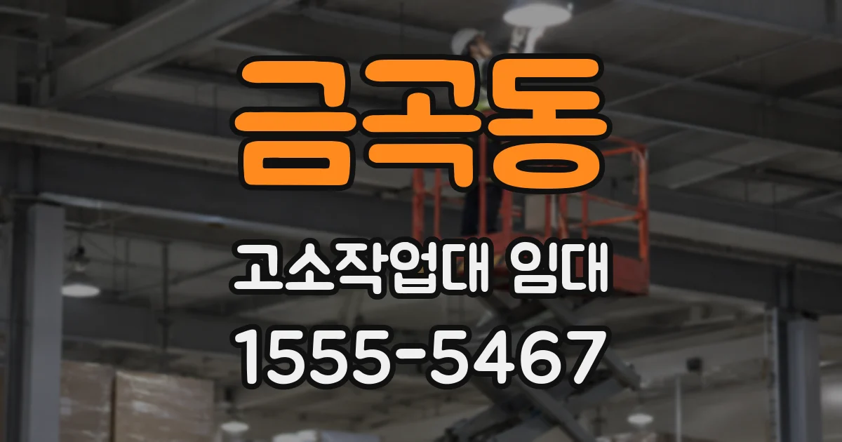 금곡동 고소작업대 임대