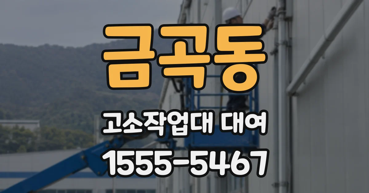 금곡동 고소작업대 대여