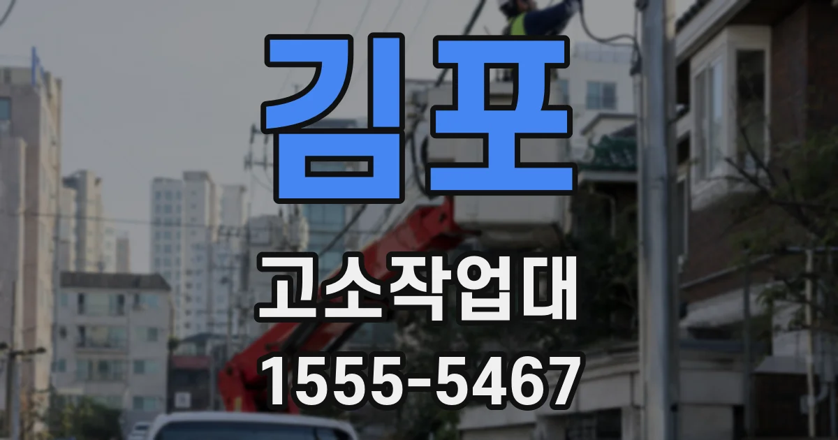 김포 고소작업대