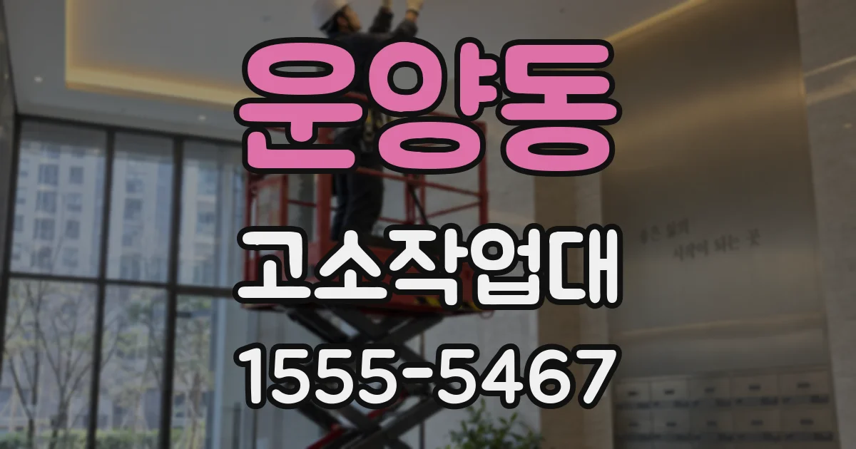 운양동 고소작업대