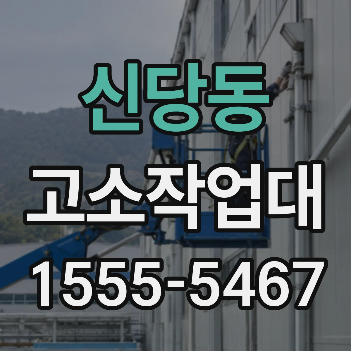 신당동 고소작업대