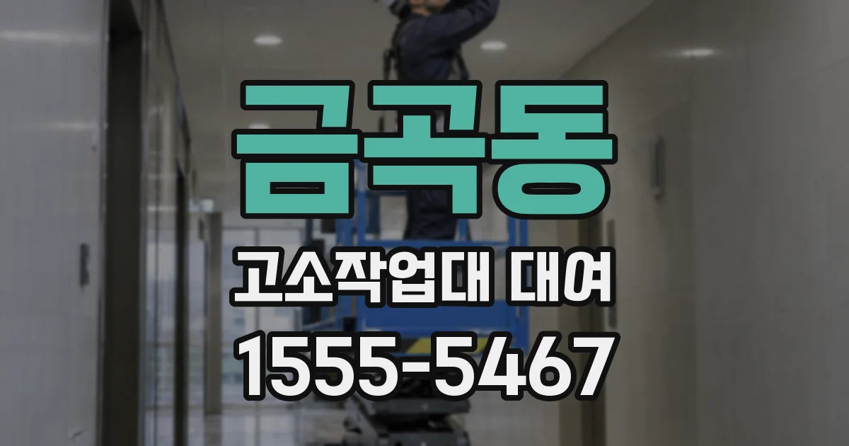 금곡동 고소작업대 대여