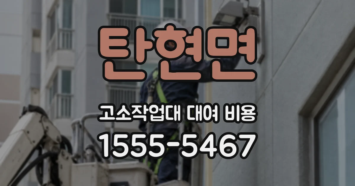 탄현면 고소작업대 대여 비용