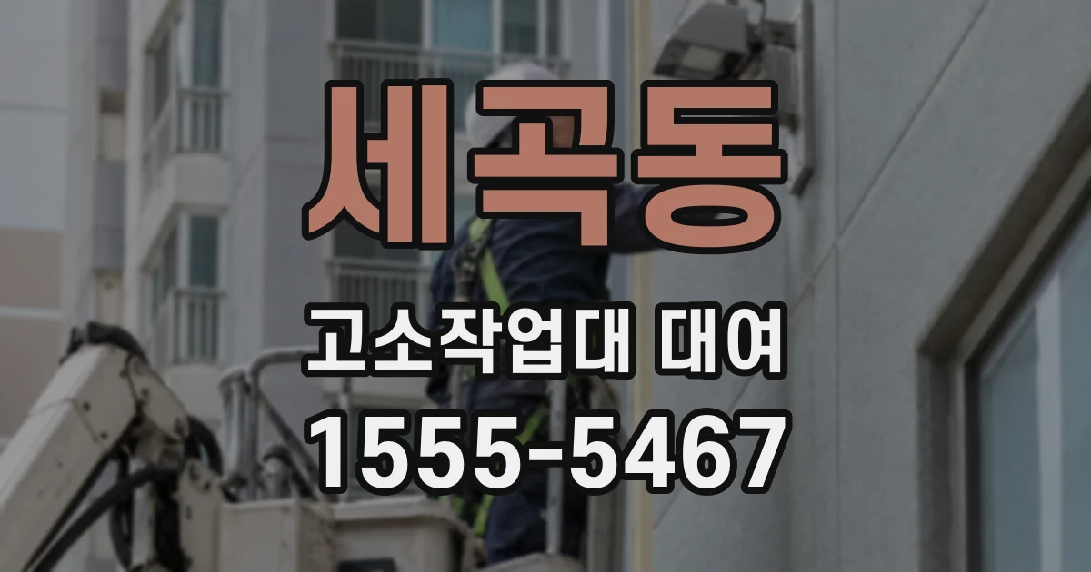 세곡동 고소작업대 대여