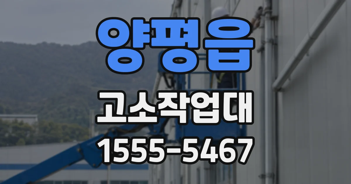 양평읍 고소작업대