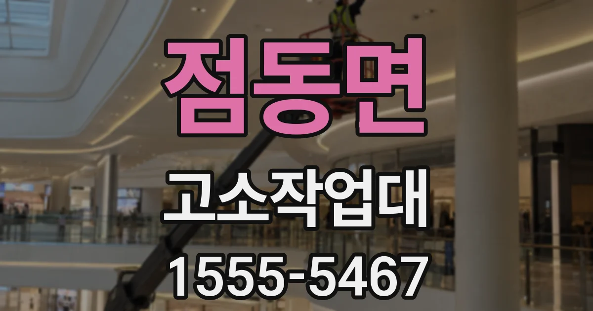 점동면 고소작업대