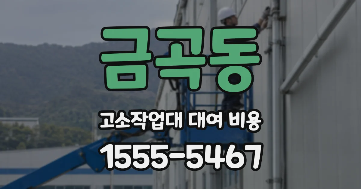 금곡동 고소작업대 대여 비용