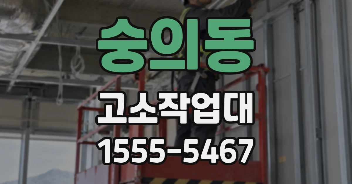 숭의동 고소작업대