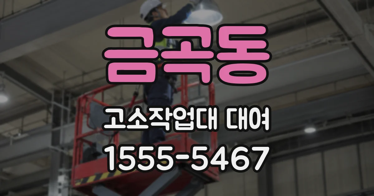 금곡동 고소작업대 대여
