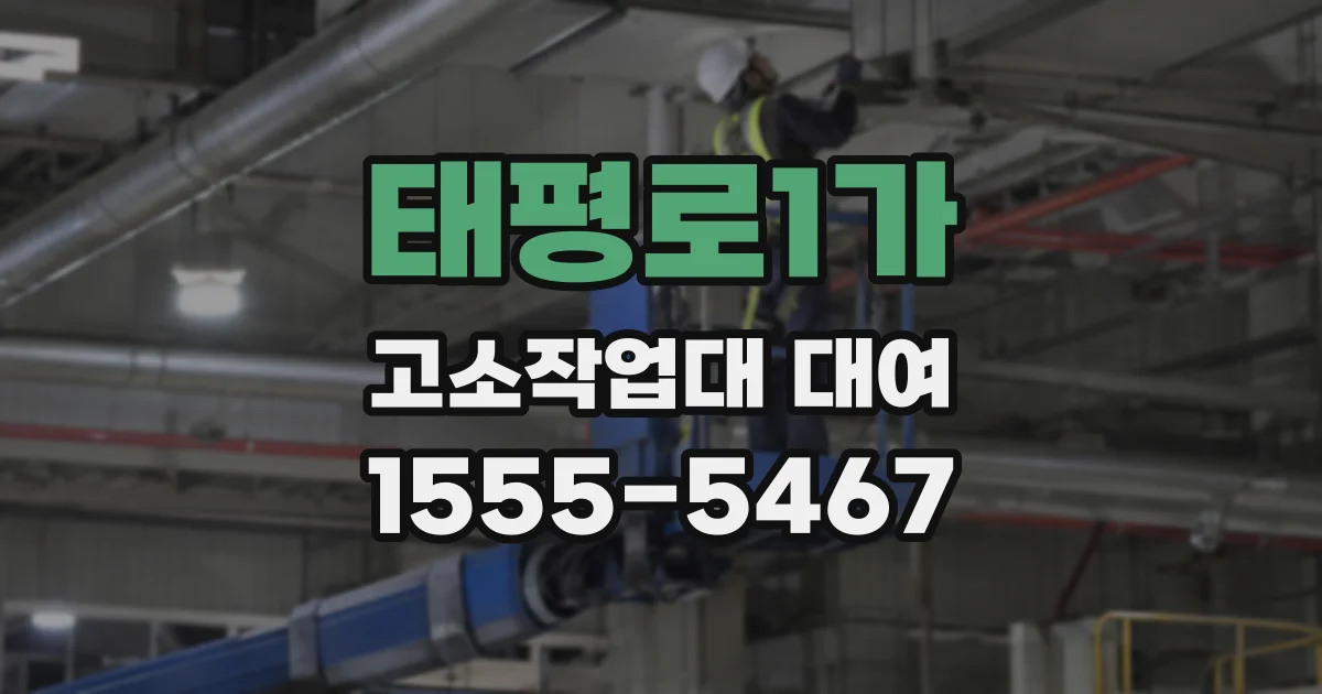 태평로1가 고소작업대 대여