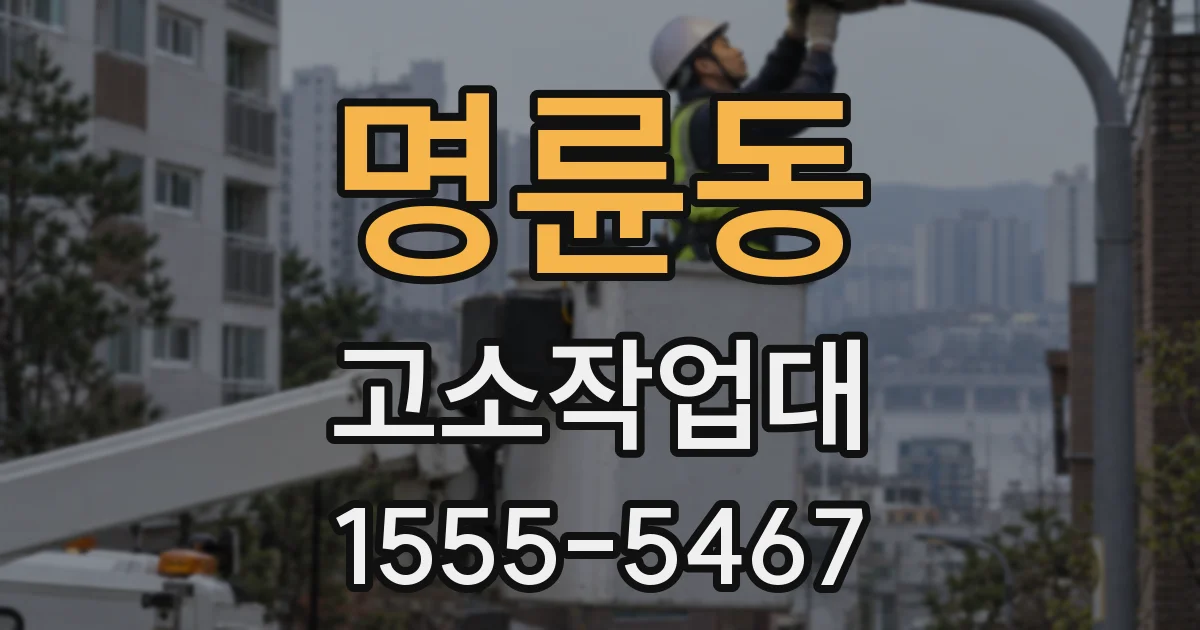 명륜동 고소작업대