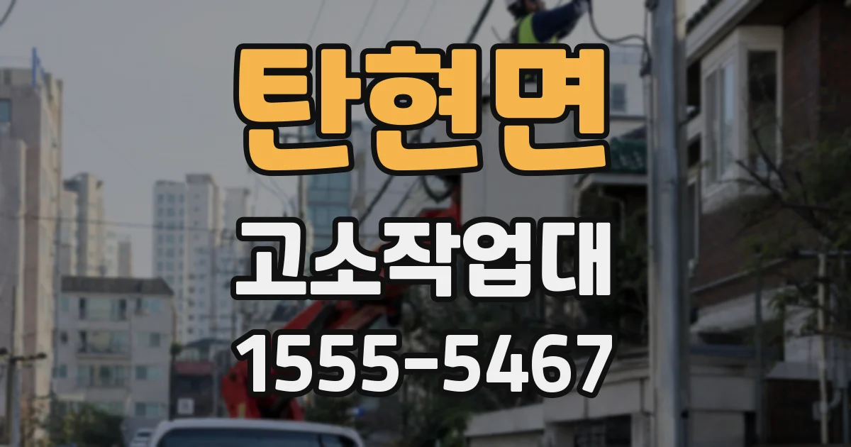탄현면 고소작업대