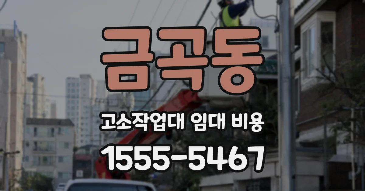 금곡동 고소작업대 임대 비용