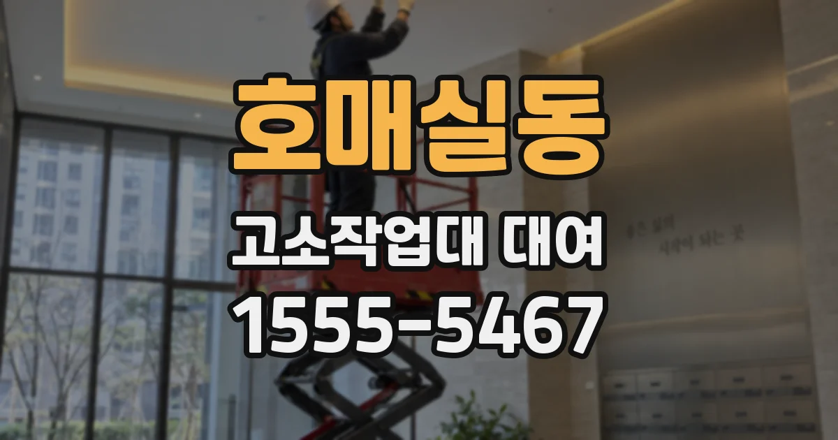 호매실동 고소작업대 대여