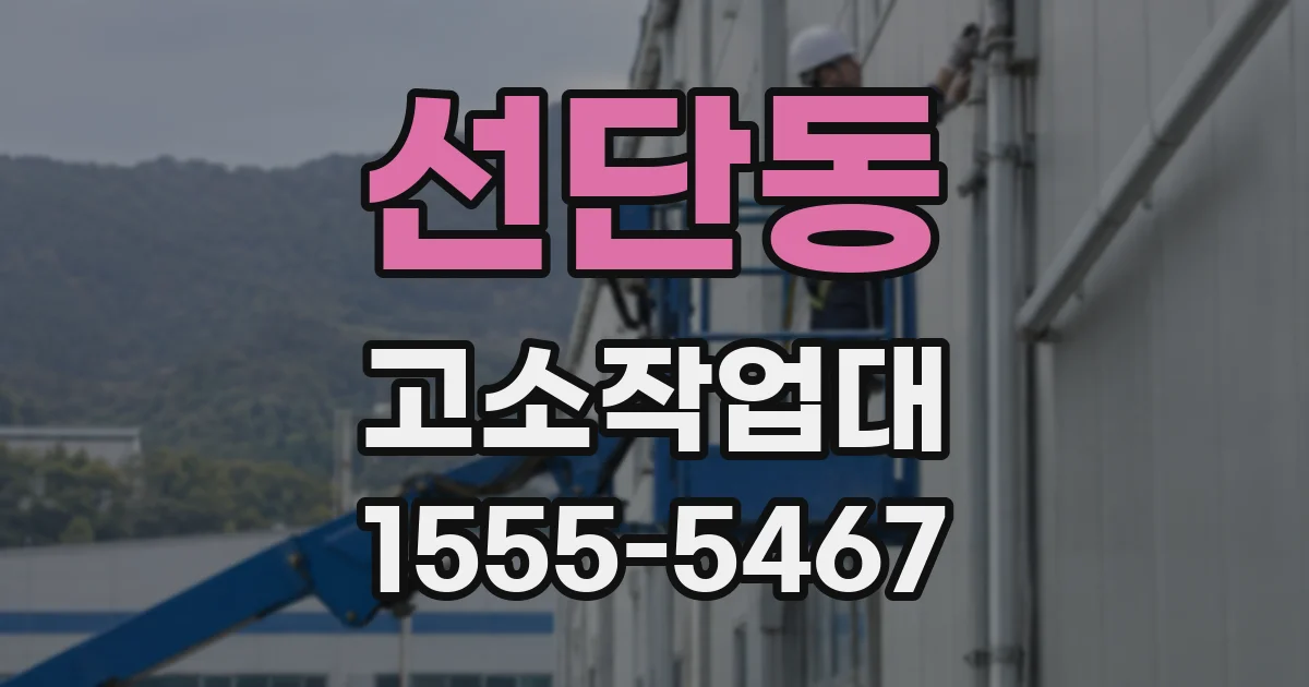 선단동 고소작업대