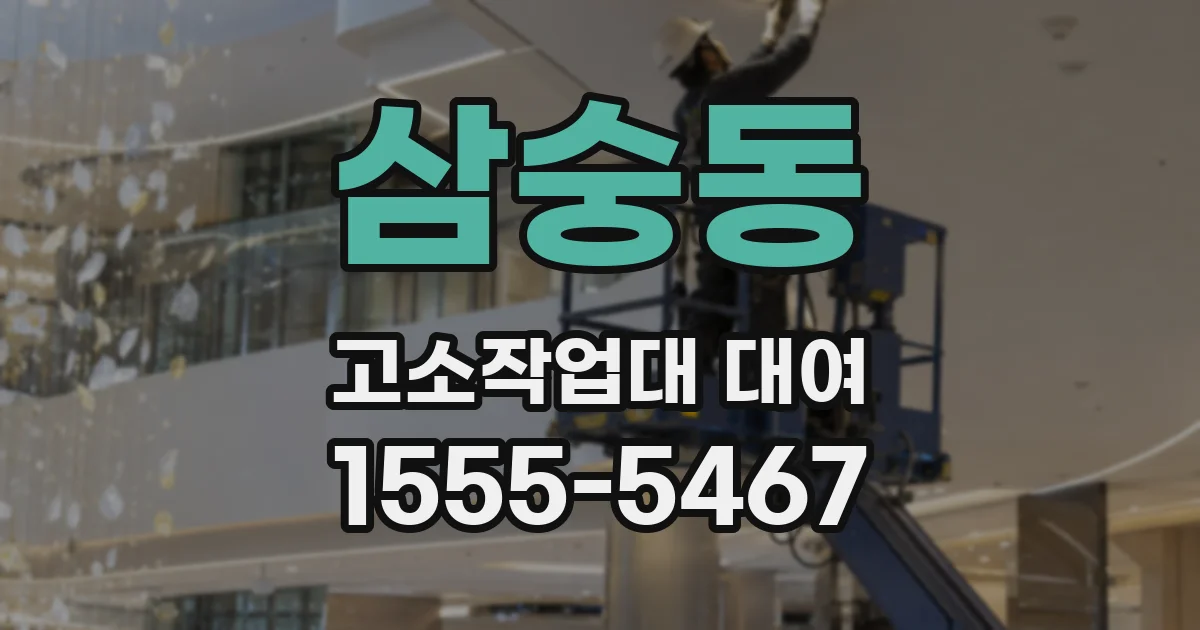 삼숭동 고소작업대 대여