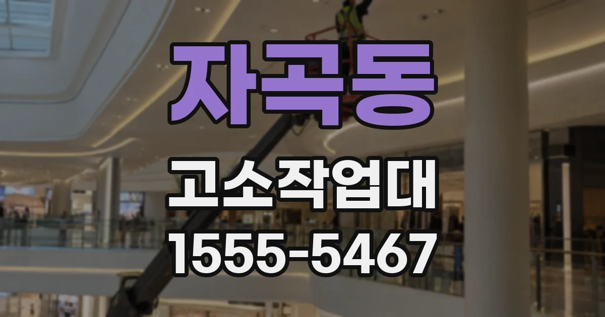 자곡동 고소작업대