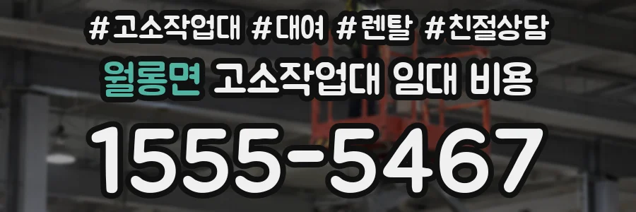 월롱면 고소작업대 임대 비용