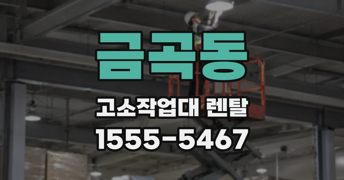금곡동 고소작업대 렌탈