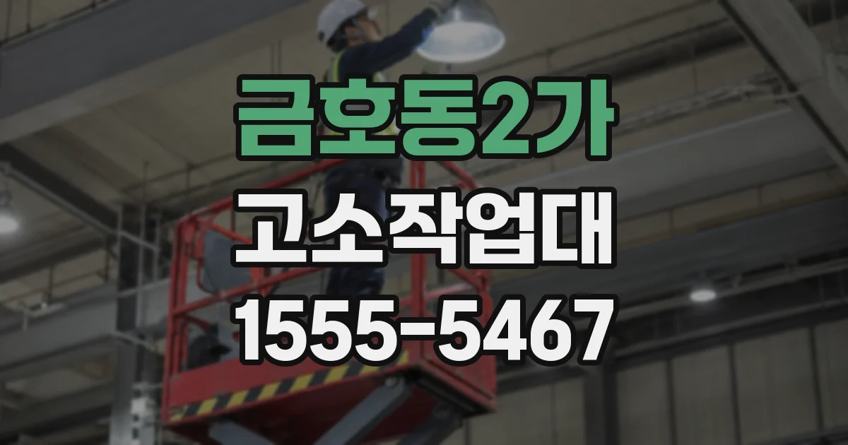 금호동2가 고소작업대