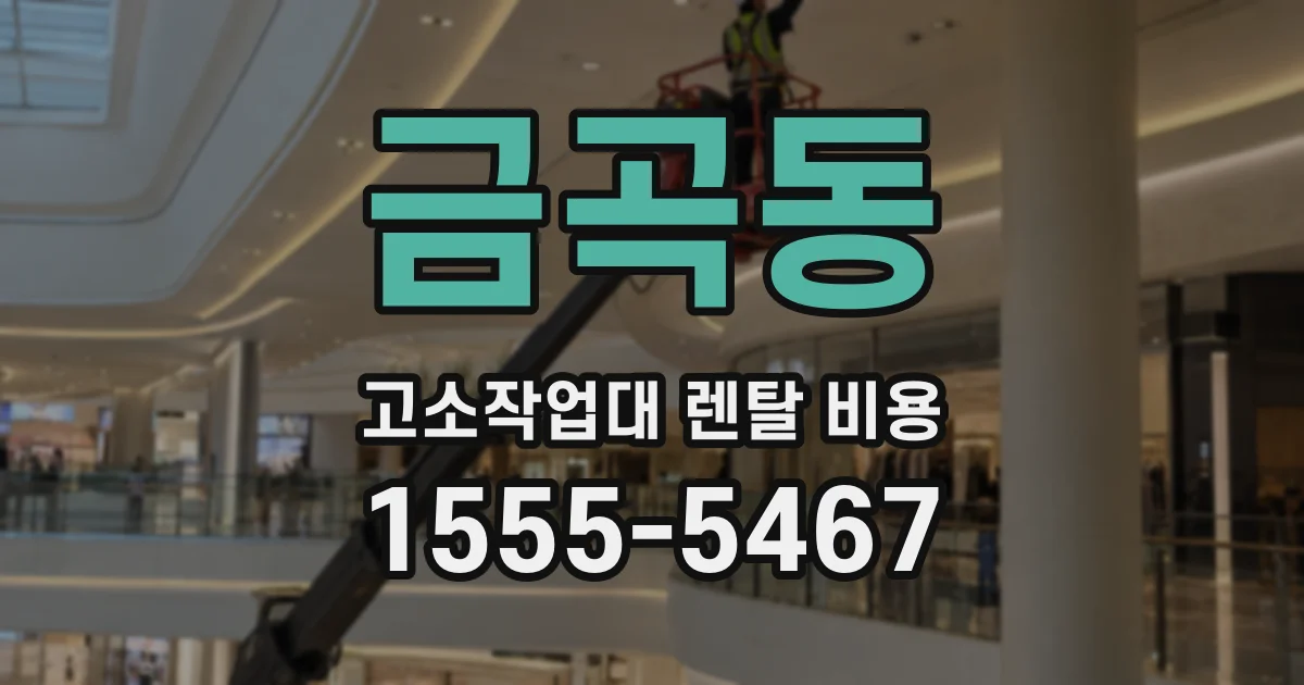 금곡동 고소작업대 렌탈 비용