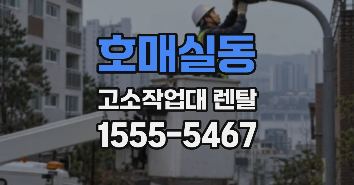 호매실동 고소작업대 렌탈