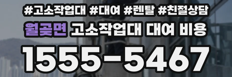 월곶면 고소작업대 대여 비용