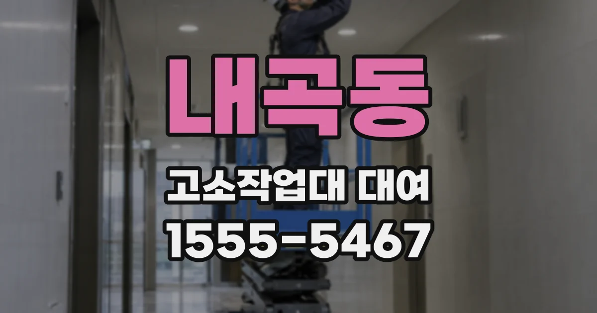 내곡동 고소작업대 대여