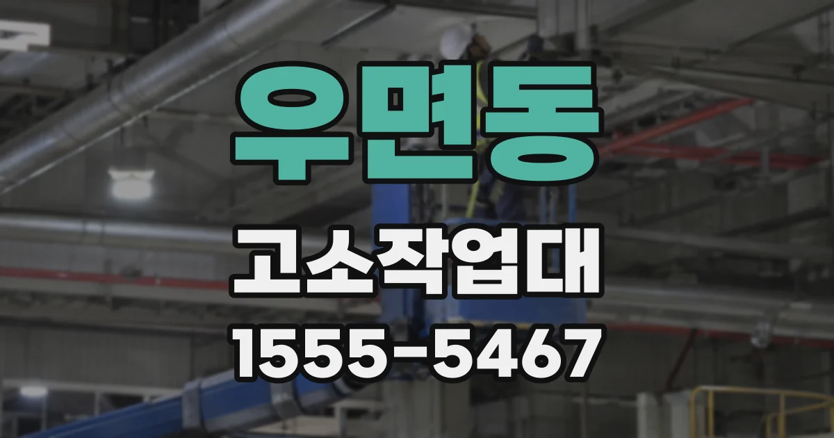 우면동 고소작업대