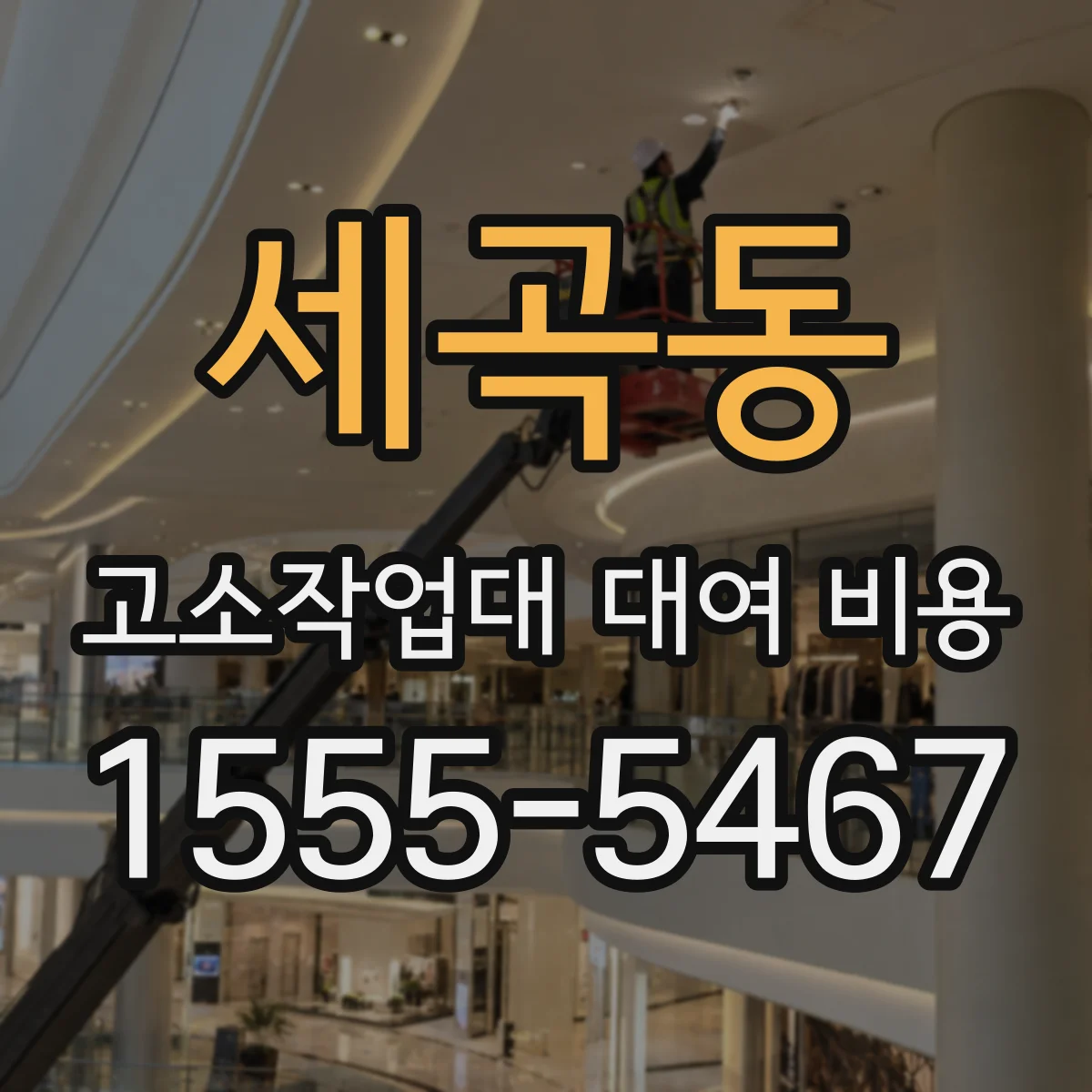 세곡동 고소작업대 대여 비용