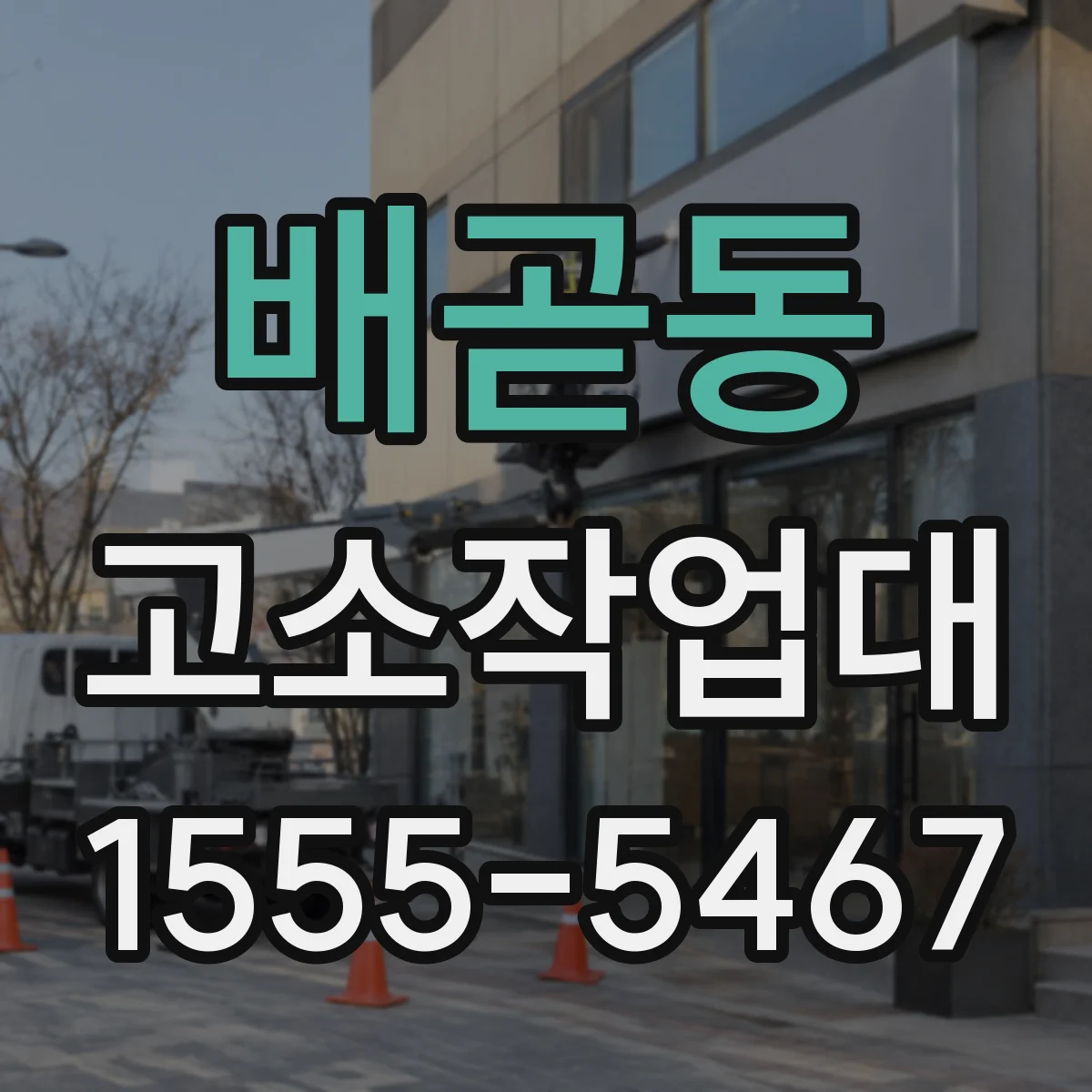 배곧동 고소작업대
