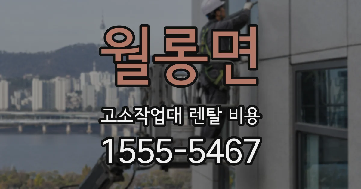 월롱면 고소작업대 렌탈 비용