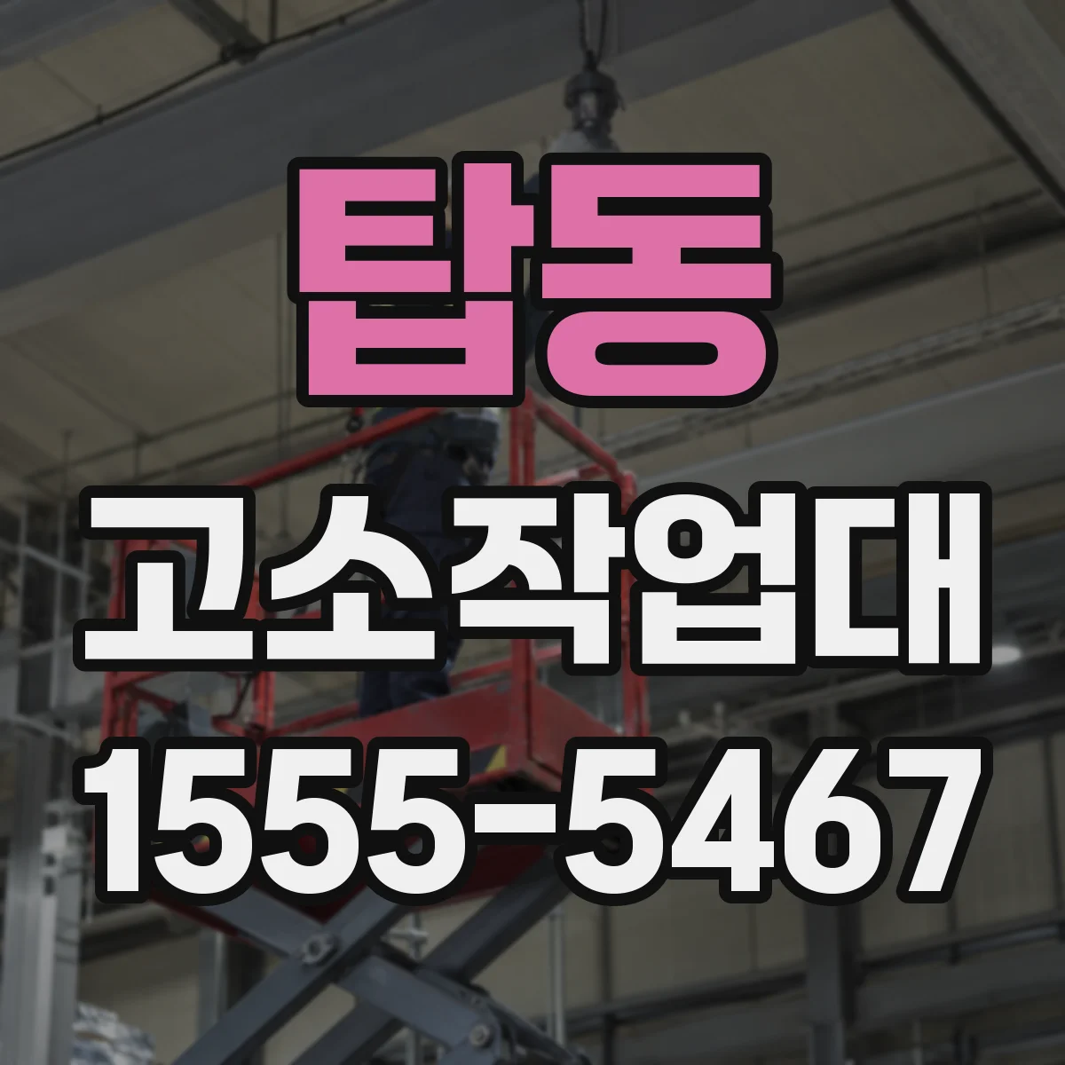 탑동 고소작업대