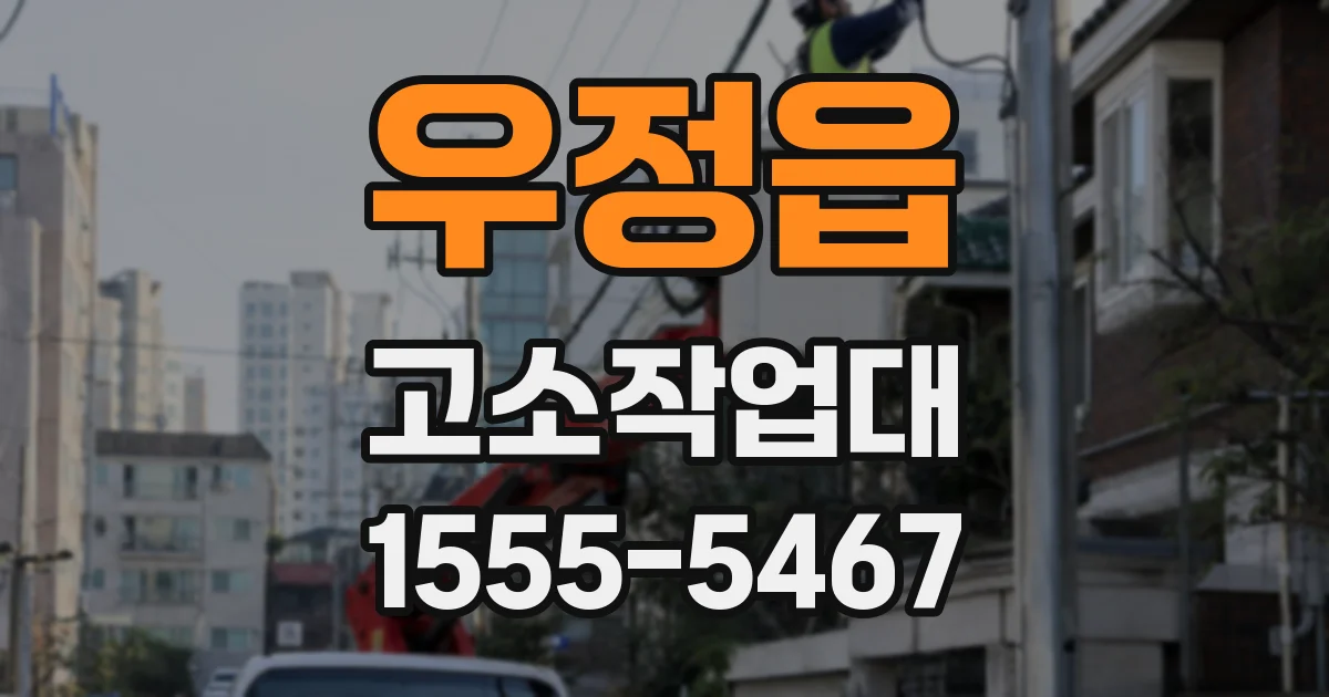 우정읍 고소작업대