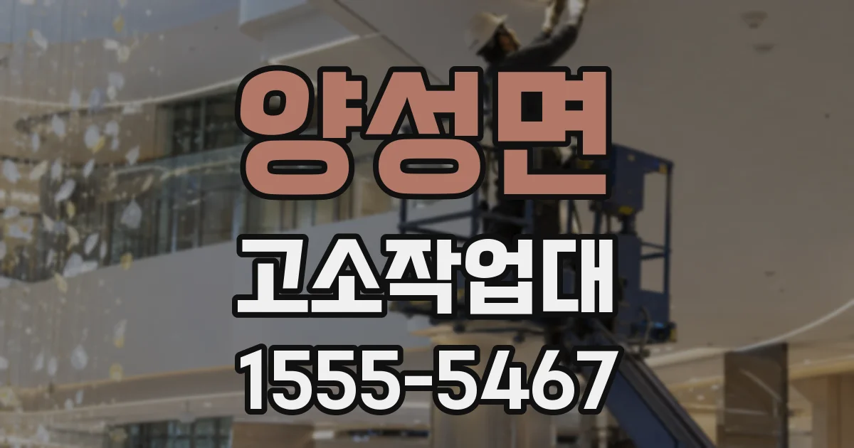 양성면 고소작업대